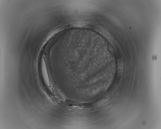 X0000094070626200711091152