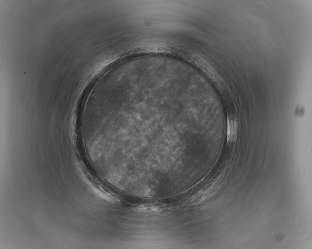 X0000094070627200711091152