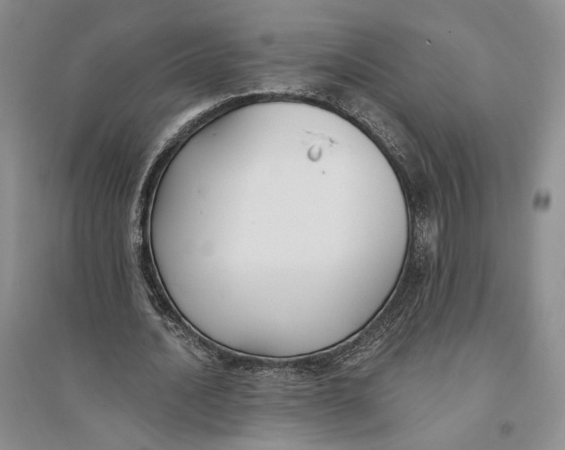 X0000094070628200711091152