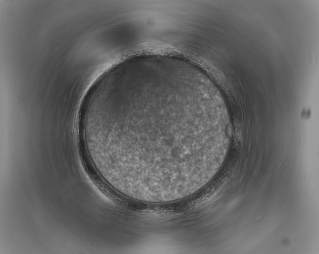 X0000094070630200711091152