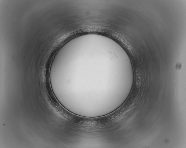 X0000094070631200711091152