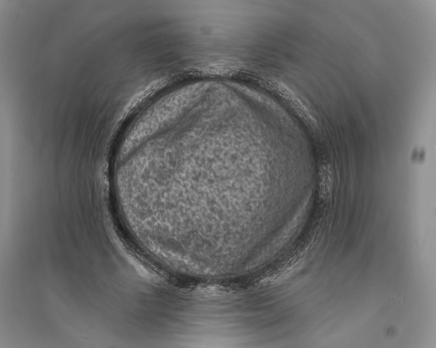 X0000094070634200711091152