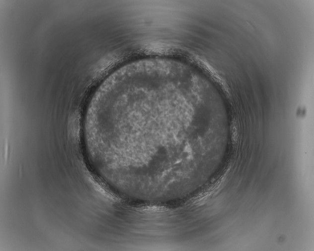 X0000094070637200711091152