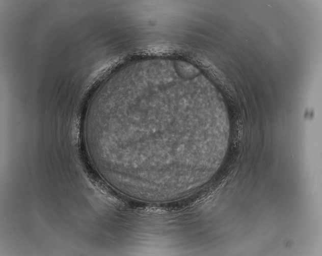 X0000094070640200711091153