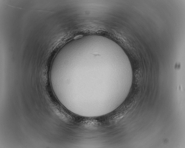 X0000094070642200711091153