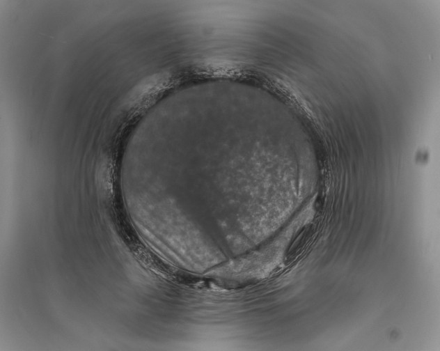 X0000094070643200711091153