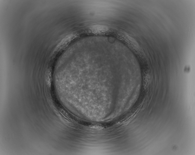 X0000094070644200711091153