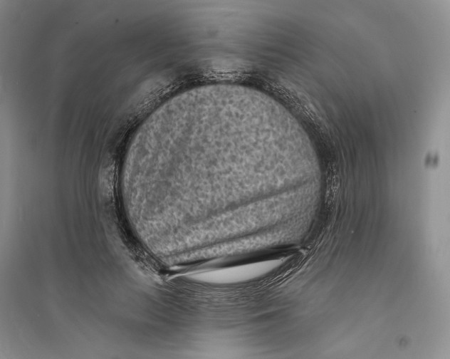 X0000094070647200711091153