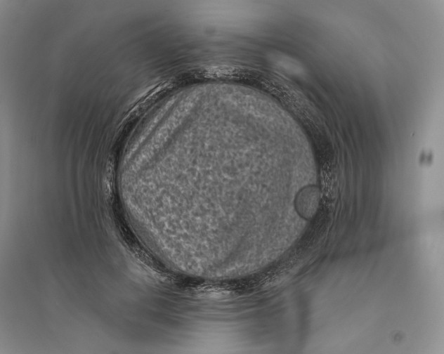 X0000094070648200711091153