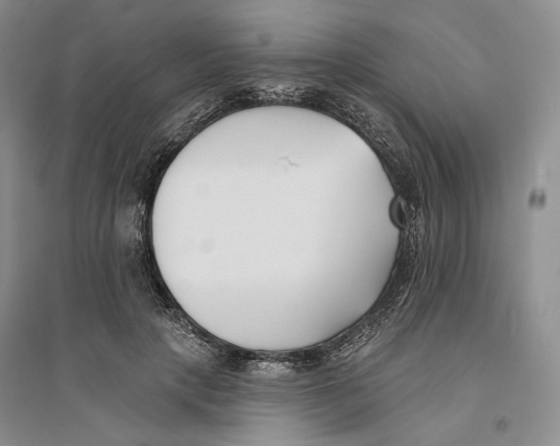 X0000094070649200711091153