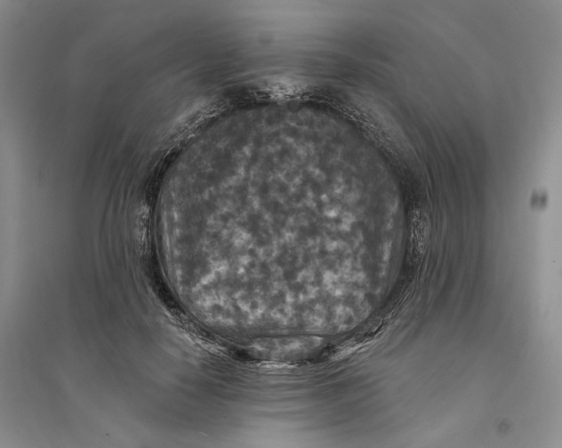 X0000094070650200711091153