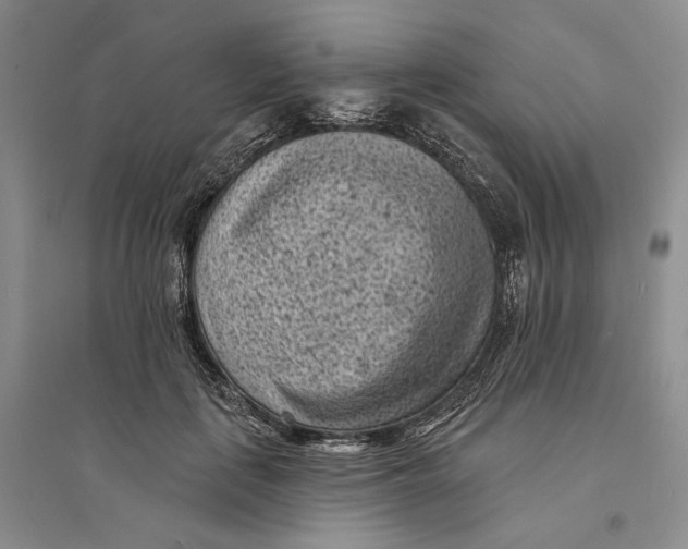 X0000094070651200711091153
