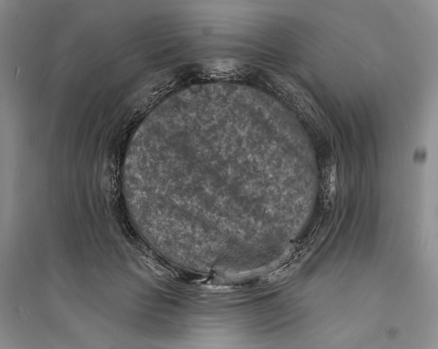X0000094070653200711091153