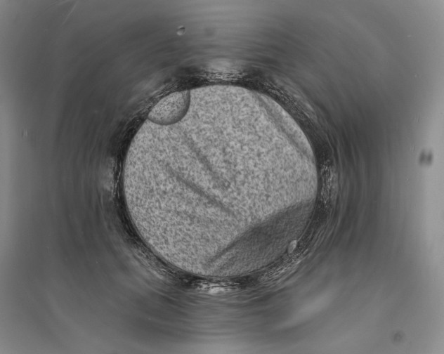 X0000094070655200711091153