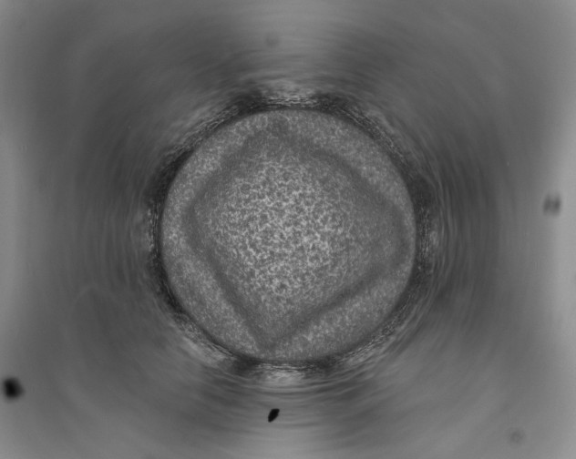 X0000094070658200711091153