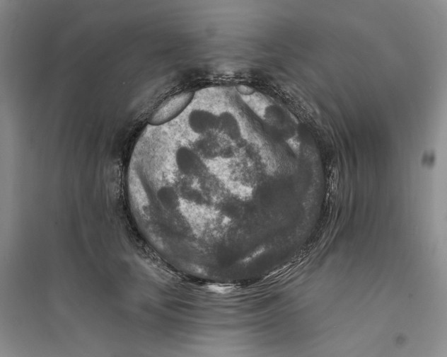 X0000094070659200711091153