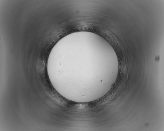 X0000094070660200711091153