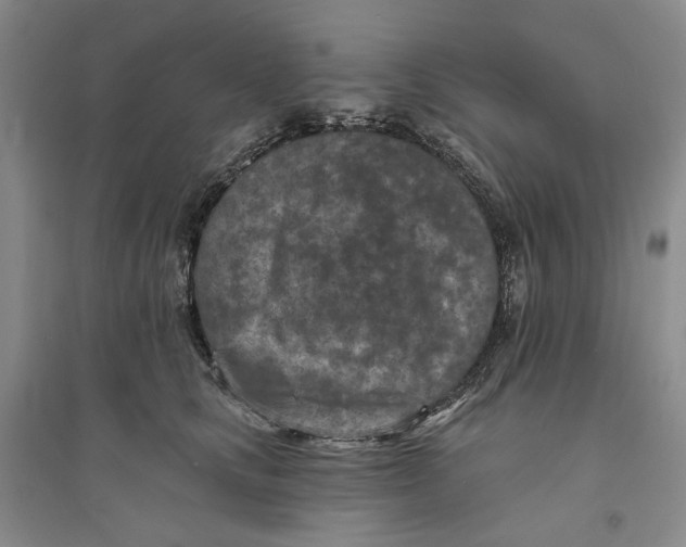 X0000094070661200711091153
