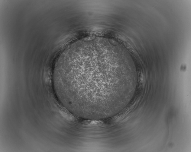 X0000094070663200711091153