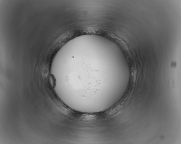 X0000094070665200711091153