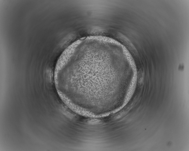 X0000094070669200711091153