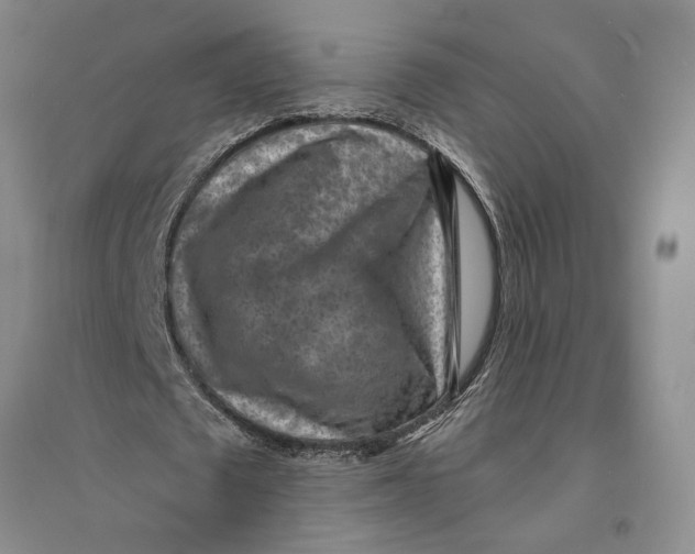 X0000094070673200711091152