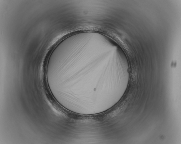 X0000094070674200711091152