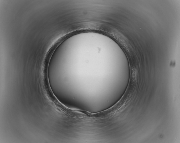 X0000094070676200711091152