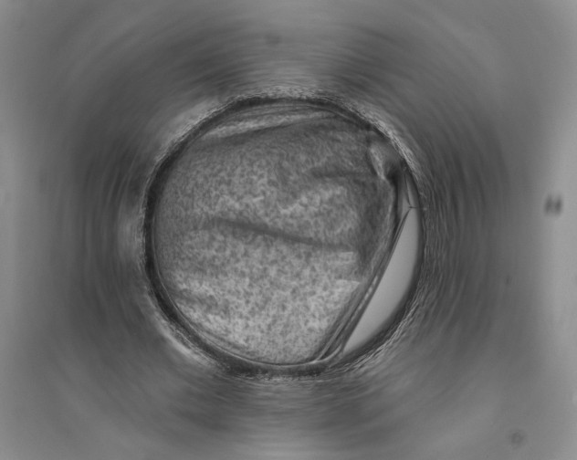 X0000094070677200711091152