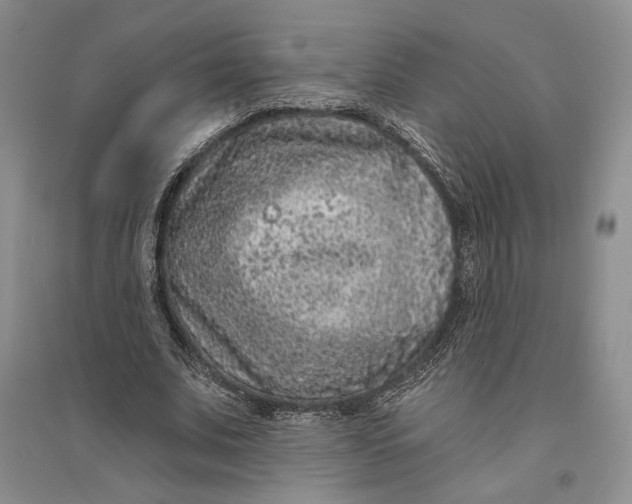 X0000094070679200711091152