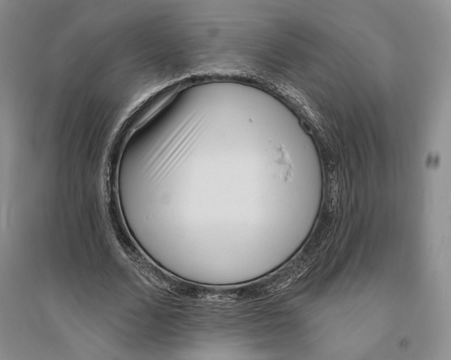 X0000094070680200711091152