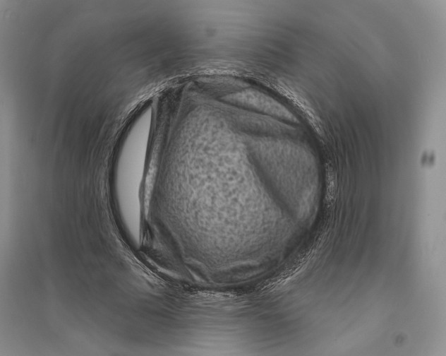 X0000094070681200711091152