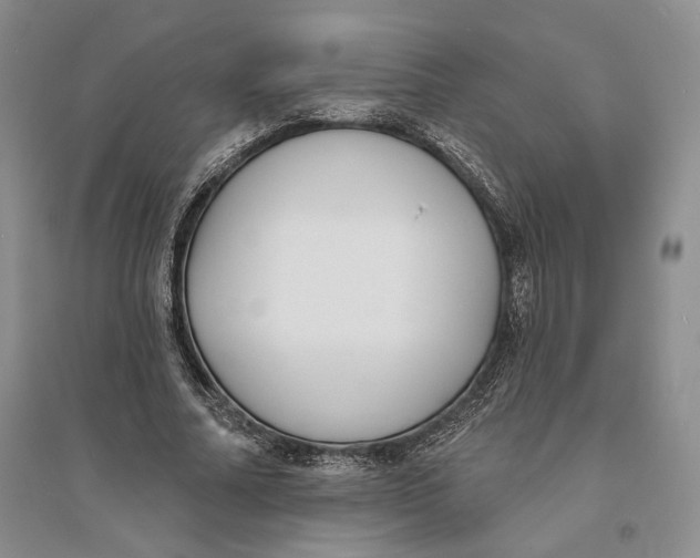 X0000094070682200711091152
