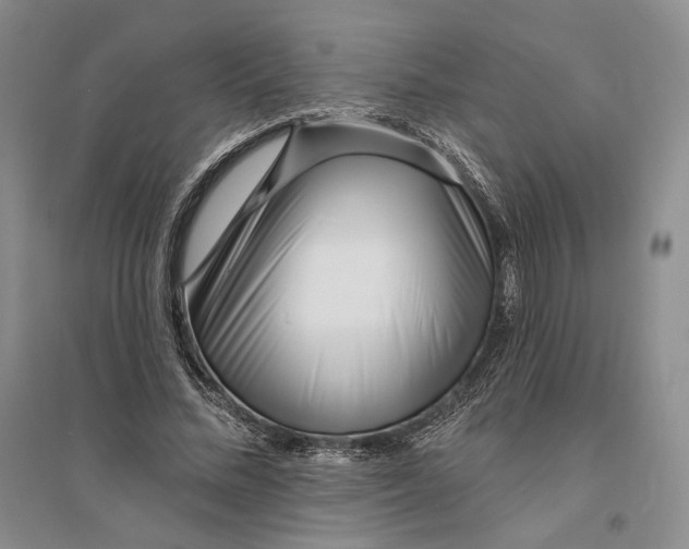 X0000094070684200711091152