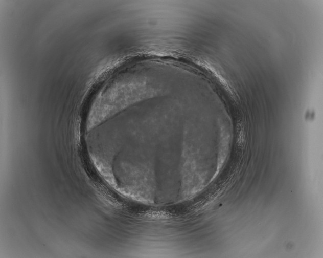 X0000094070685200711091152
