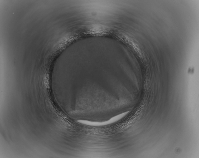 X0000094070689200711091152