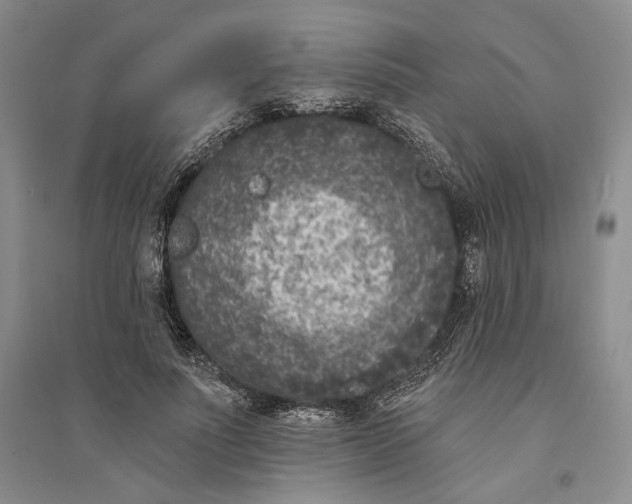 X0000094070691200711091152