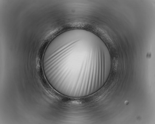 X0000094070692200711091152