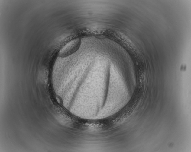 X0000094070693200711091152