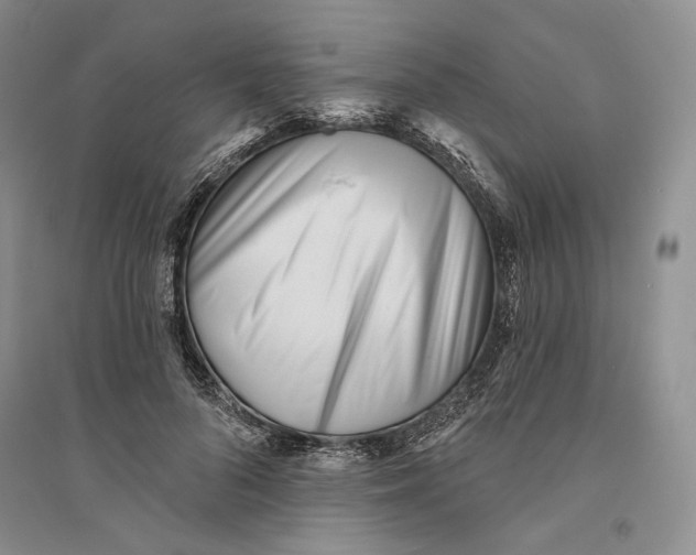 X0000094070696200711091152