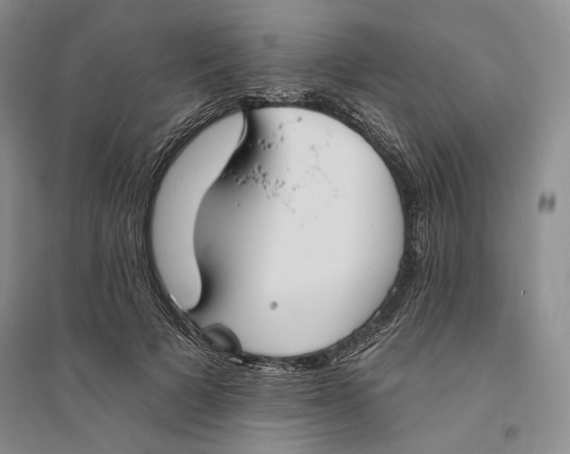 X0000094070697200711091152