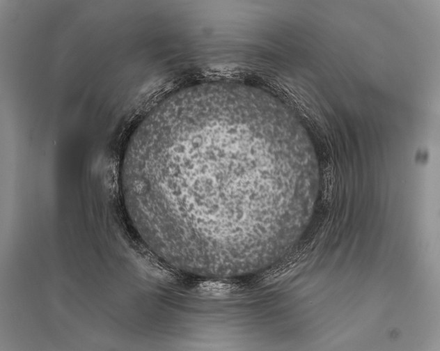 X0000094070699200711091152
