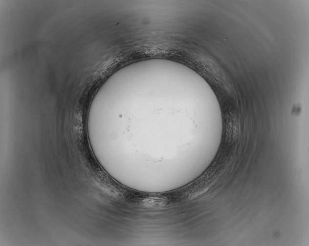 X0000094070700200711091152