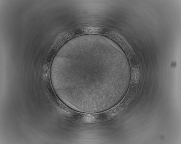 X0000094070701200711091152