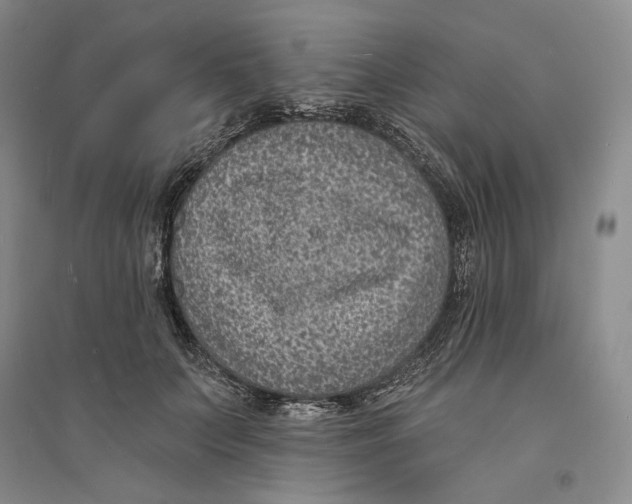X0000094070703200711091152