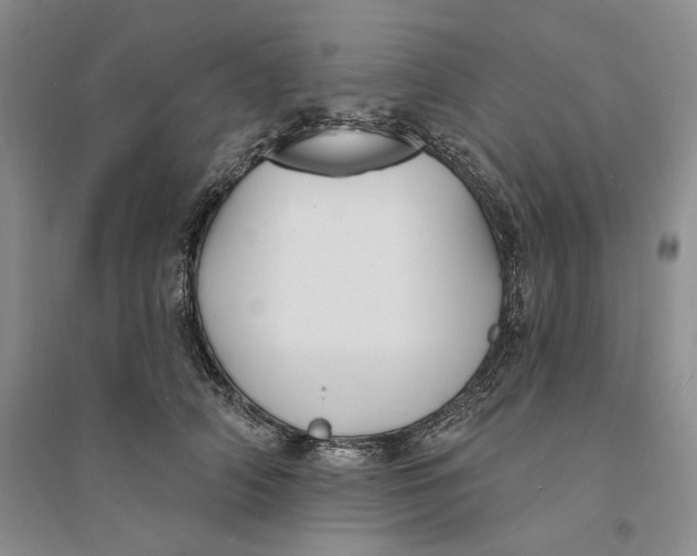 X0000094070706200711091152