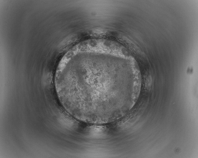 X0000094070711200711091152