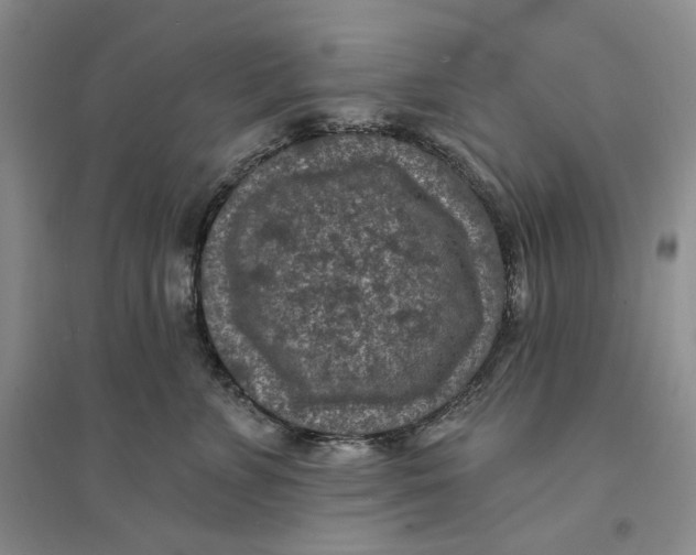 X0000094070715200711091152