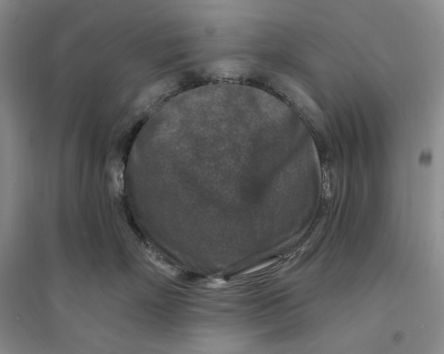 X0000094070718200711091152