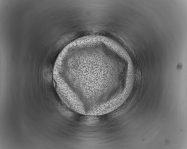 X0000094070719200711091152